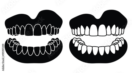 Detailed anatomical illustration of human teeth upper and lower jaws in a stark silhouette