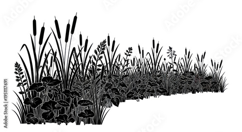 Black and White Silhouette of Cattails and Marsh Plants