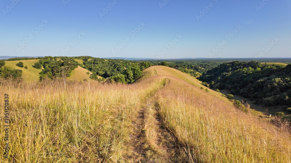 Fototapeta premium Tranquil sunny summer landscape with green fields and hills in south-eastern Europe, Serbia.