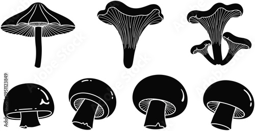 Vector Silhouette Set of Edible and Wild Mushrooms Featuring Chanterelle Champignon and Gilled Fungi Varieties for Culinary and Nature Graphics