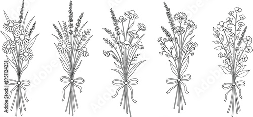 Hand Drawn Wildflower Bouquet Line Art Vector Set with Daisy, Lavender and Botanical Floral Arrangements Collection
