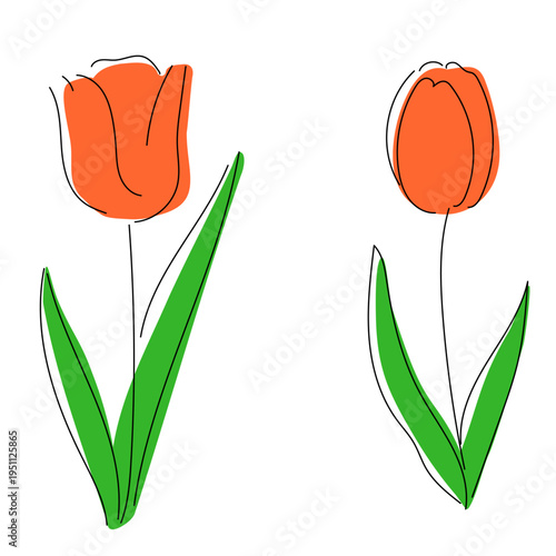 オレンジのチューリップを手描き風に描いたシンプルでかわいい春イラスト