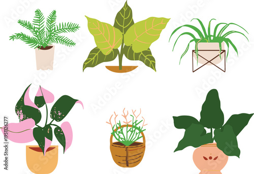 Collection of decorative indoor potted plants with tropical foliage and flowering houseplants, flat vector illustration set for modern home decor isolated background