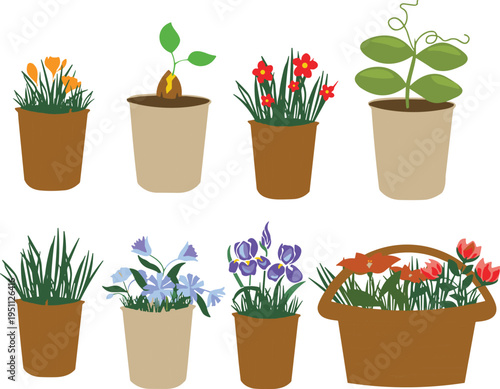 Collection of decorative potted flowers and plants, flat vector illustration set with blooming garden plants, seedlings and indoor houseplants isolated on light background