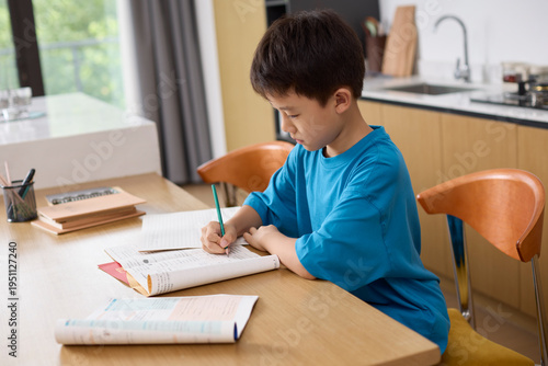 Boy tackling his homework at the kitchen table