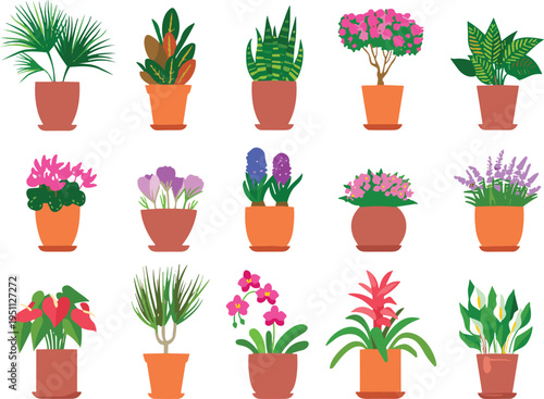 Large collection of decorative indoor potted plants and flowers, flat vector illustration set with tropical foliage, blooming houseplants isolated on light background