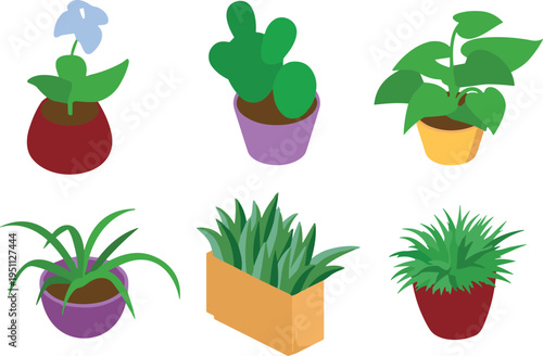 Set of colorful indoor potted houseplants illustration, modern flat vector plants collection with decorative pots, home gardening greenery icons isolated on light background