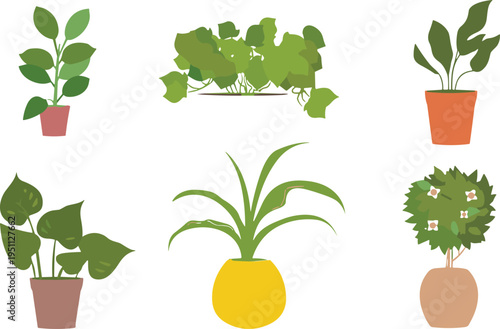 Set of decorative indoor potted houseplants with tropical green foliage, flat vector illustration collection of modern home decor plants isolated background