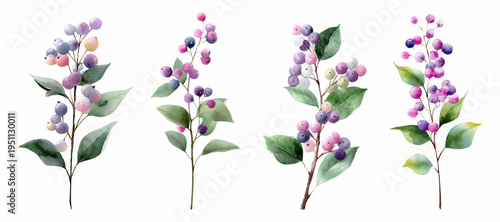 Watercolor botanical collection featuring berries and leaves on individual branches, creating a delicate floral design element for various artistic and decorative projects