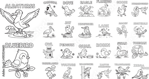 Black and white outline of various bird species with their names birds alphabet