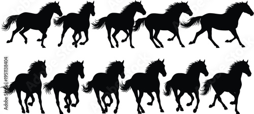 Silhouette of multiple horses in motion