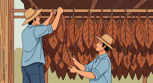 Two people hang drying tobacco leaves indoors
