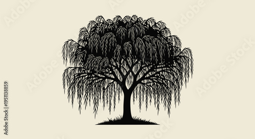 Elegant Weeping Willow Tree Vector Illustration with Cascading Branches and Lush Greenery