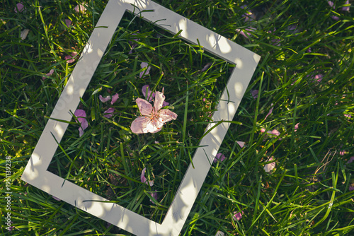 a empty frame with spring flowers on the green grass	