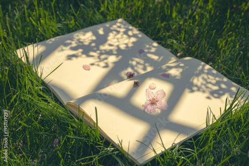 pink cherry flowers on a open notebook lying on the  green grass