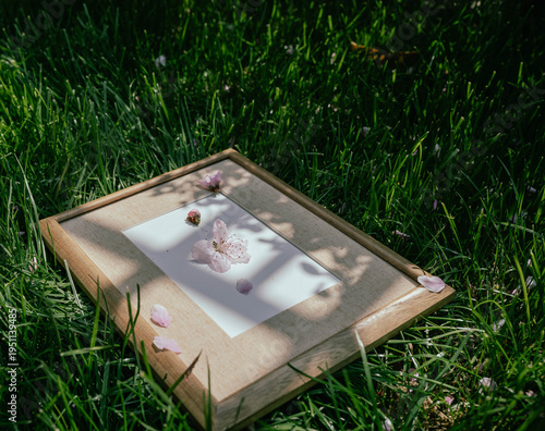 a wooden frame and flowers on the grass