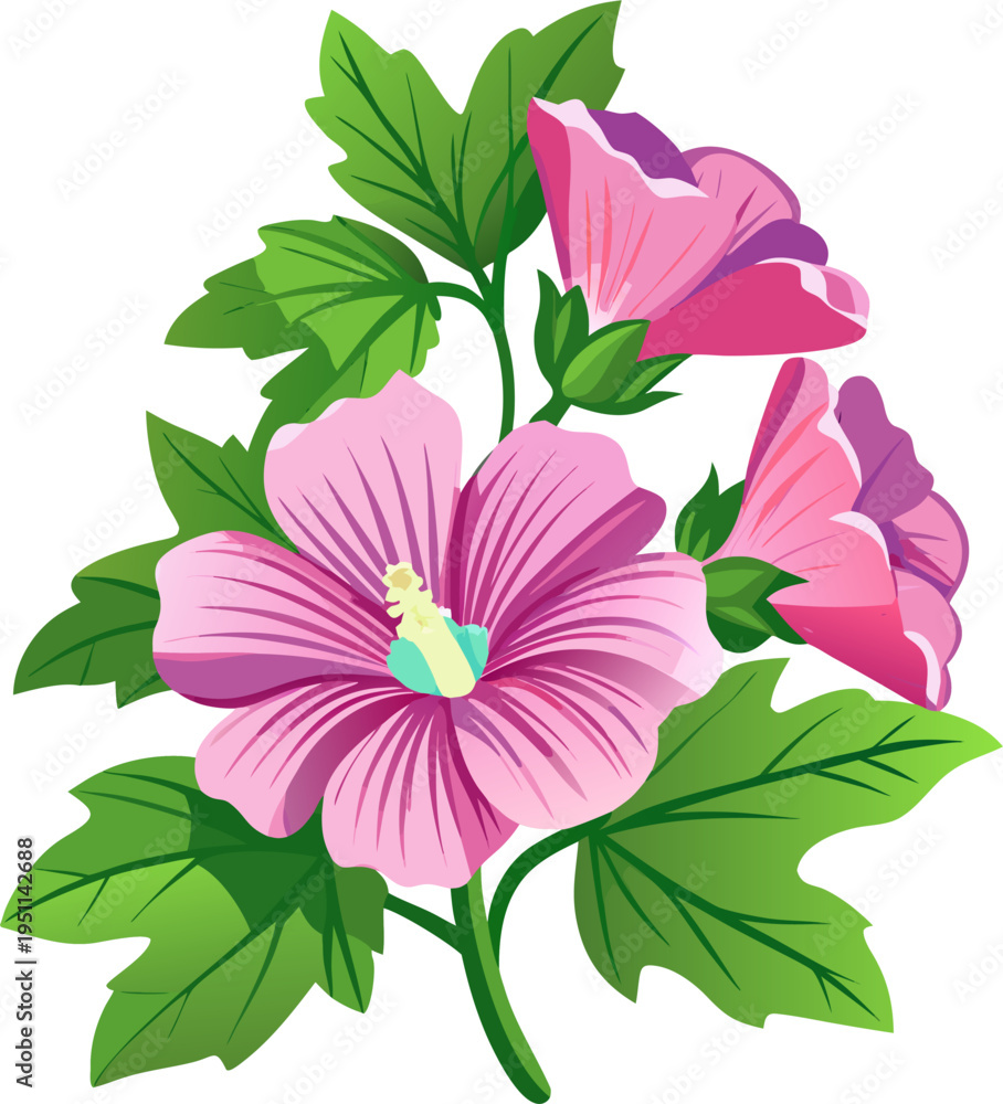 Obraz premium Mallow flowers 