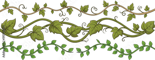 Set of Three Decorative Green Ivy Vines and Climbing Liana Branches with Lush Leaves and Curly Tendrils Isolated on White Background for Nature Design