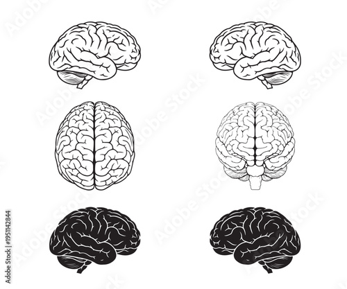 Set of human brains vector illustration, neurology and cognitive science