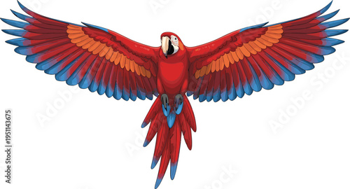 Vibrant Red Macaw Parrot Vector Illustration with Wings Spread in Flight Featuring Blue and Orange Feathers Isolated on White Background for Tropical Designs