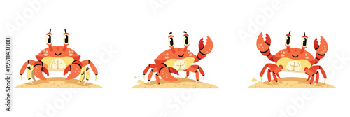 Orange crab on sand with transparent background