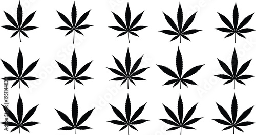 Cannabis leaf pattern vector, black silhouette, marijuana design, herbal medicine background, seamless white layout, hemp symbol stock illustration