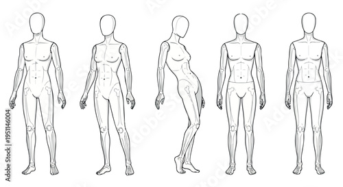 Set of 5 Human Body Figure Drawing Poses Vector
