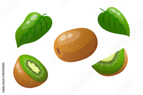 Vector illustration featuring sliced kiwis and leaves