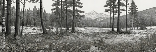 Black and White Mountain Forest Landscape with Pine Trees and Snow-Capped Peak