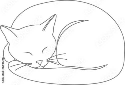 Minimalist black and white line art drawing of a peaceful domestic feline animal curled up sleeping soundly, perfect for relaxation concepts.