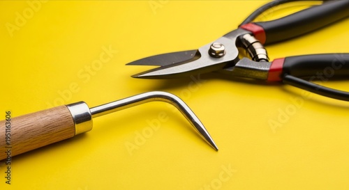 Hand Tools for Gardening with a Yellow Background and Detail