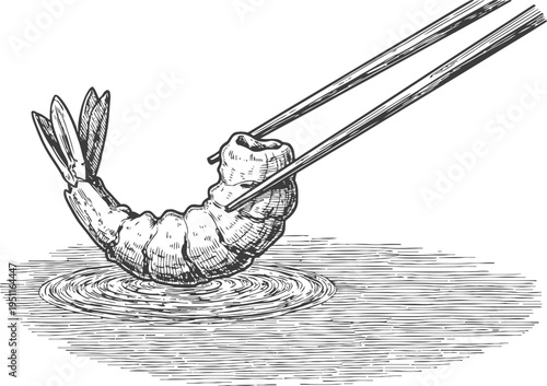 Shrimp held by chopsticks above water surface sketch, detailed seafood illustration in black and white
