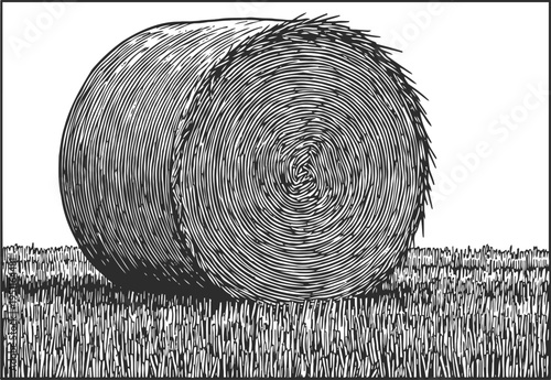Round hay bale resting on the field grass in detailed black and white line art engraving