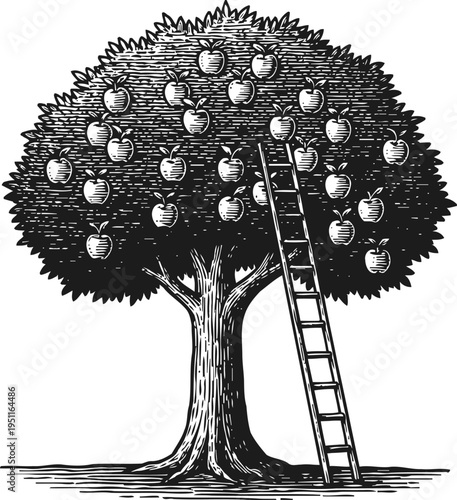 Vintage apple tree illustration with ladder for fruit picking and harvest concept
