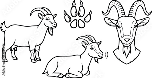 Goat illustrations with a footprint