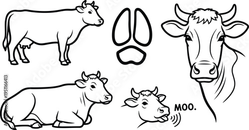 Black and white cow illustrations with various poses and a hoof print