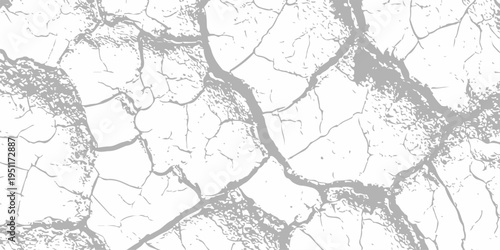 Black and white cracked earth texture background, dry soil parched ground pattern, high contrast grunge overlay art