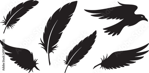 Black Solid Abstract Feather Silhouettes Set of Six on White Background
