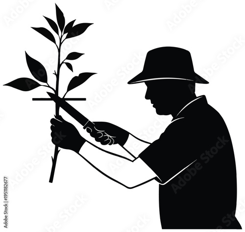 Gardener pruning young tree plant with saw—silhouette of gardening and plant care outdoors.