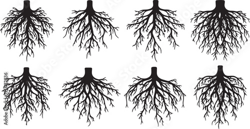 Black Solid Abstract Root Silhouettes Set of Six on White Background