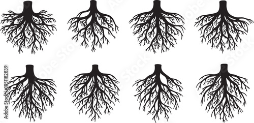 Black Solid Abstract Root Silhouettes Set of Six on White Background