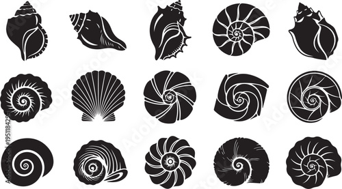 Collection of various seashells and spiral designs in black