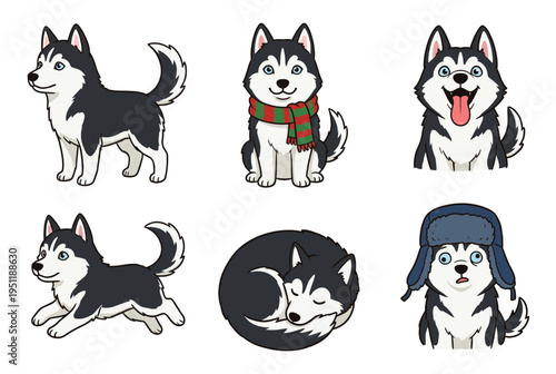 Cute husky dog character set in various poses and emotions including sitting running sleeping and wearing winter hat and scarf flat vector