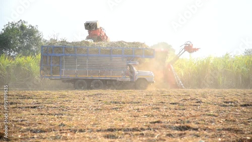  sugarcane harvester and ten-wheel tractor 