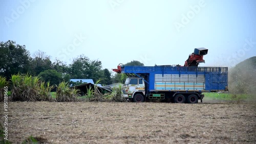  sugarcane harvester and ten-wheel tractor 