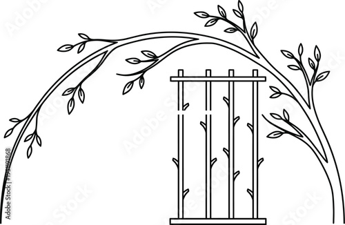 Garden trellis with climbing plant branch line art