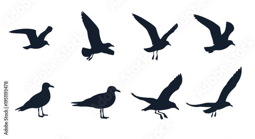 Collection of eight black seagull silhouettes in various flight and standing positions, isolated on white, featuring detailed bird outlines for coastal and marine graphic design.