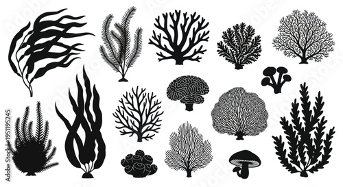 Black Silhouette Marine Life Collection: Seaweed, Coral, and Anemone Illustrations
