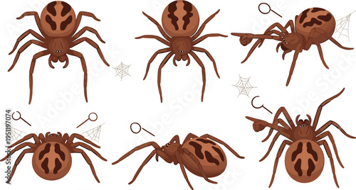 Spider Collection with Different Brown Spiders and Web Elements Creepy Crawling Insect Set Halloween Wildlife Vector Illustration