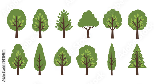 Set of twelve different green tree illustrations showing various shapes and species for use in landscape icons and environmental designs.